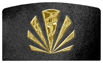 DACRO-602-GD-SH-BK Gold Sunburst Shimmer Black